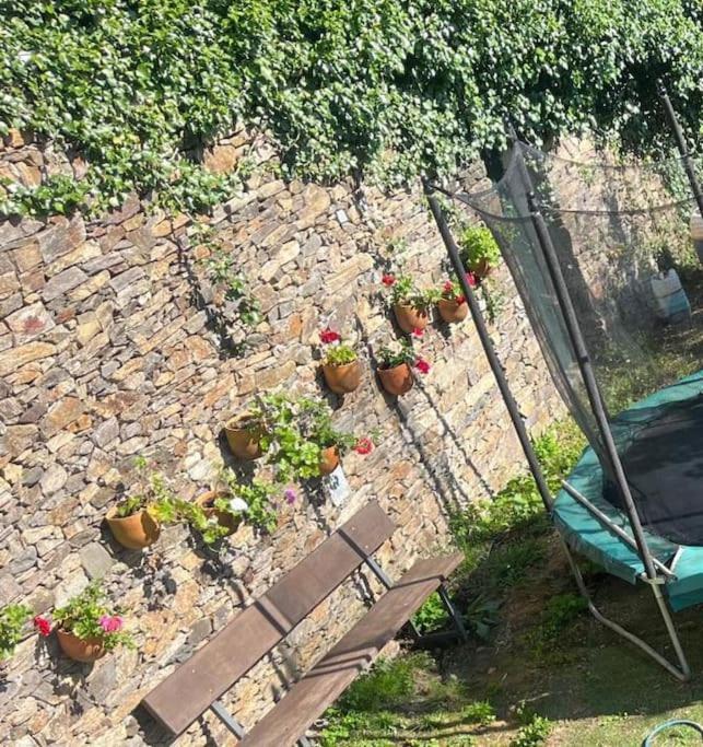 Villa Casa A Boga Ribeira Sacra Abeleda Esterno foto