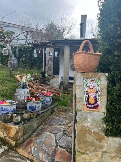 Villa Casa A Boga Ribeira Sacra Abeleda Esterno foto