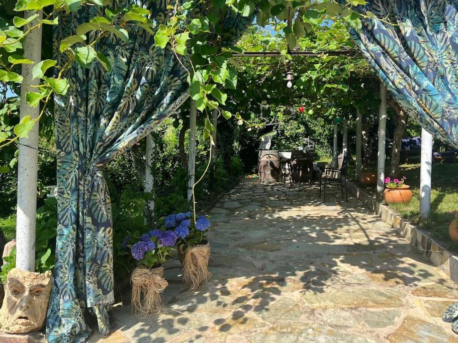 Villa Casa A Boga Ribeira Sacra Abeleda Esterno foto